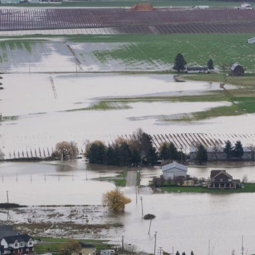 social & public sector - svg xml charset utf 8  3Csvg 20xmlns 3D http 3A 2F 2Fwww - Social & Public Sector - photo Devastating Flood Natural Disaster in the city and farmland after storm social & public sector - svg xml charset utf 8  3Csvg 20xmlns 3D http 3A 2F 2Fwww - Social & Public Sector